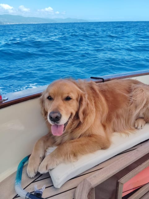 Starlit Luxury Boat Charter with Aperitif in Portofino - Who Should Consider This Tour?
