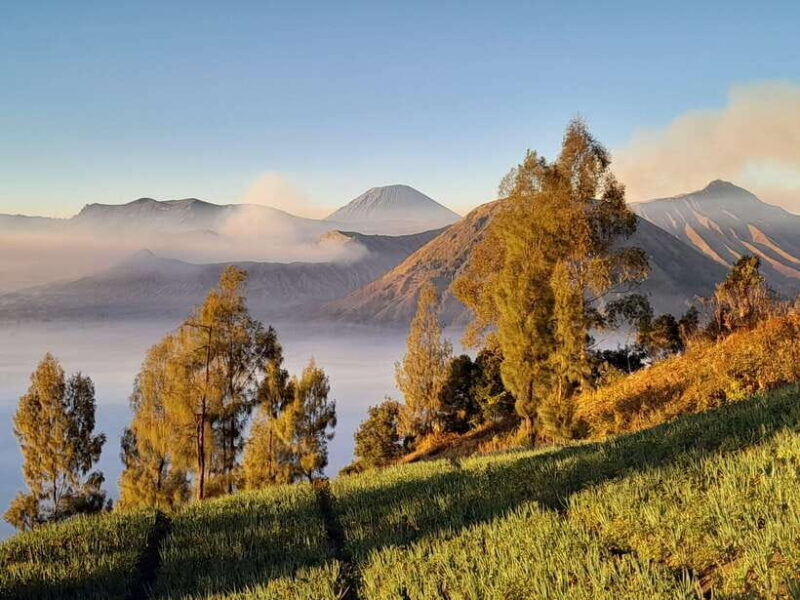 Start From Surabaya: Mount Bromo Sunrise Shared Guided Tour - Practicalities and Considerations