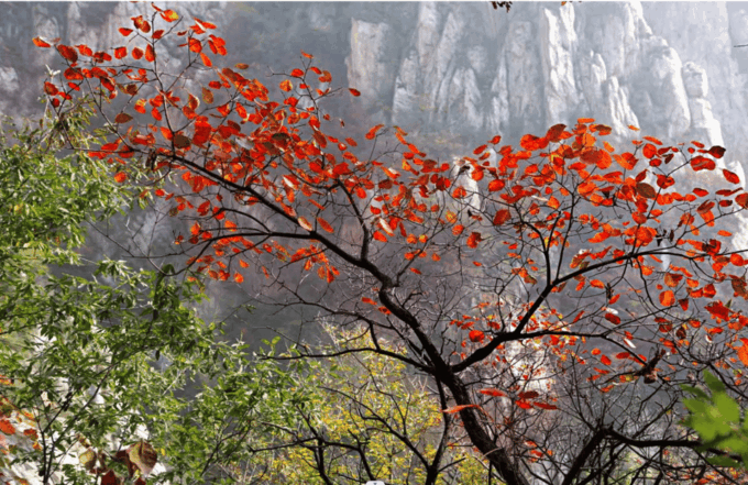 Start From Zhengzhou/Luoyang to Shaolin Temple &Sanhuangzhai - Reserve and Pay