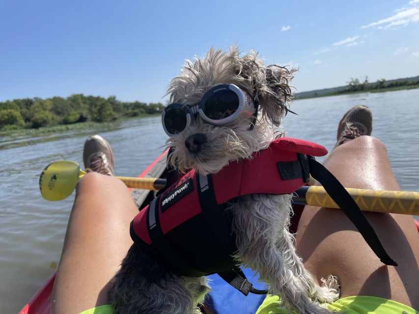 Starved Rock State Park: Guided Kayaking Tour - Meeting Location