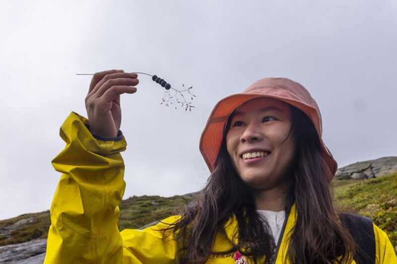 Stavanger: Kjerag Summer Hike with Packed Lunch - The Itinerary: What You Can Expect