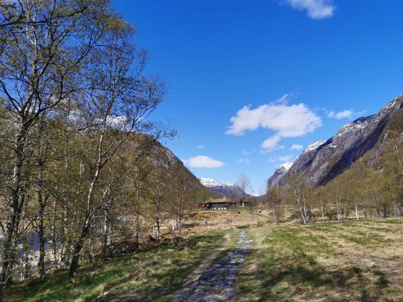 Stavanger: Månafossen photo adventure and raw nature - Final Thoughts: Who Will Love This Tour?