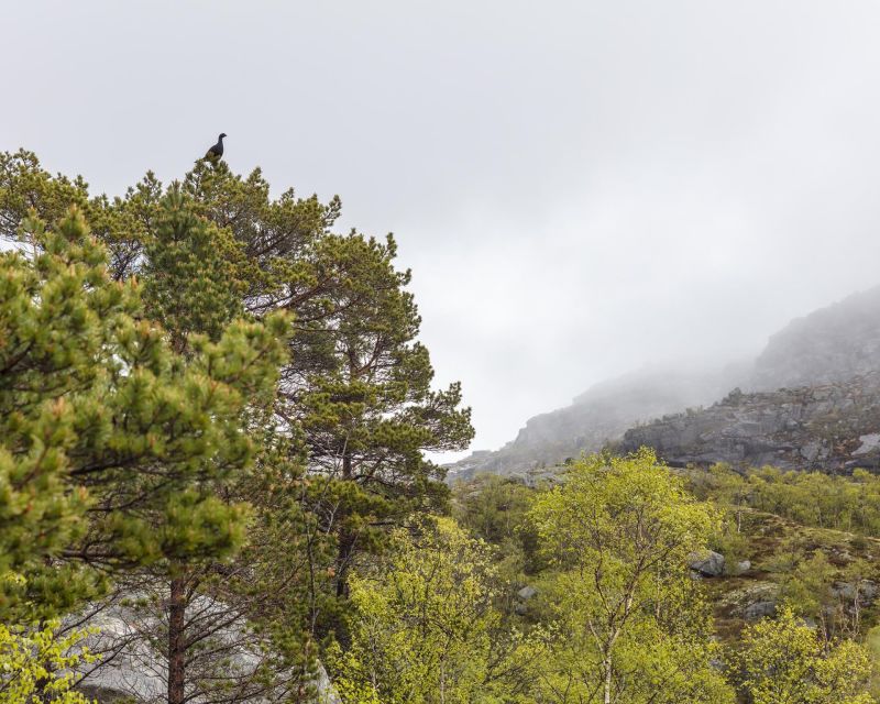 Stavanger: Preikestolen Hidden Trail Hike + Canoe + Lunch - FAQ
