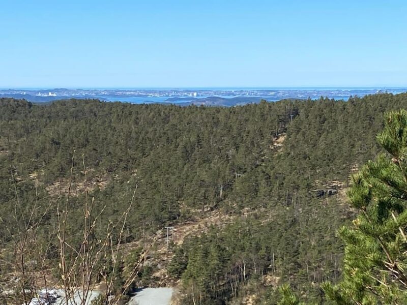 Stavanger: Preikestolen Tour with Guide and Pickup - Who Should Consider This Tour?