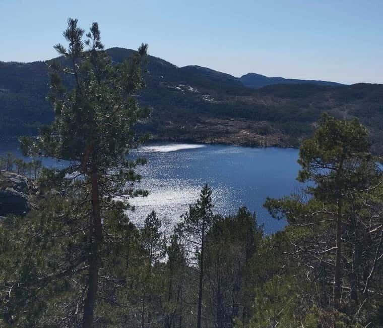 Stavanger: Prekestolen Tour with Guide and Pickup - Authentic Experiences and Honest Feedback