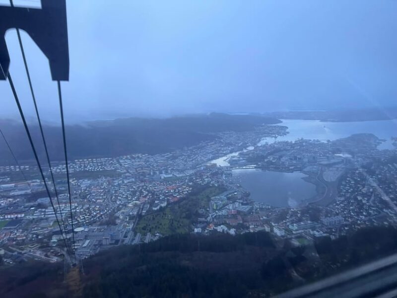 Stavanger: Ulriken Mountain and Bergen Aquarium Guided Tour - An In-Depth Look at the Tour