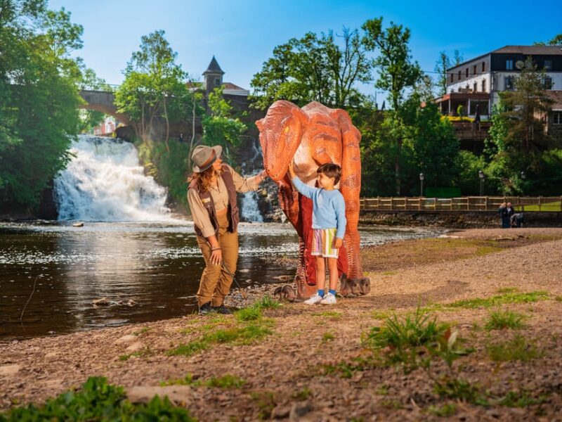 Stavelot: Plopsa Coo Ardennes Theme Park Entry Ticket - Customer Ratings