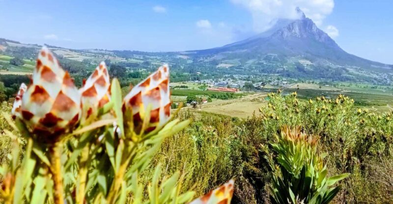 Stellenbosch: Dwarsrivier Waterfall Hike - Good To Know