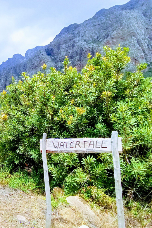 Stellenbosch: Dwarsrivier Waterfall Hike - Navigating the Diverse Terrain
