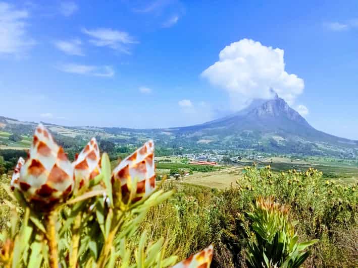 Stellenbosch: Dwarsrivier Waterfall Hike - Wildlife and Nature Encounters