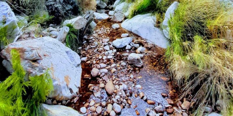 Stellenbosch: Dwarsrivier Waterfall Hike - Culinary Delight at Banhoek Chill Oil