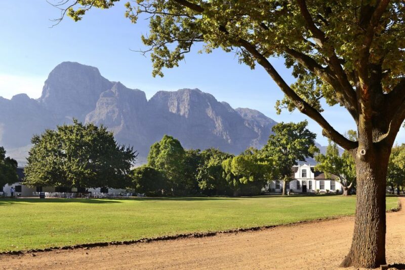 Stellenbosch: Eastern Route Hop-On Hop-Off Wine Tour - Good To Know