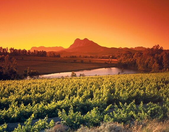 Stellenbosch, Franschhoek and Paarl Winelands Full Day Trip From Cape Town - Good To Know