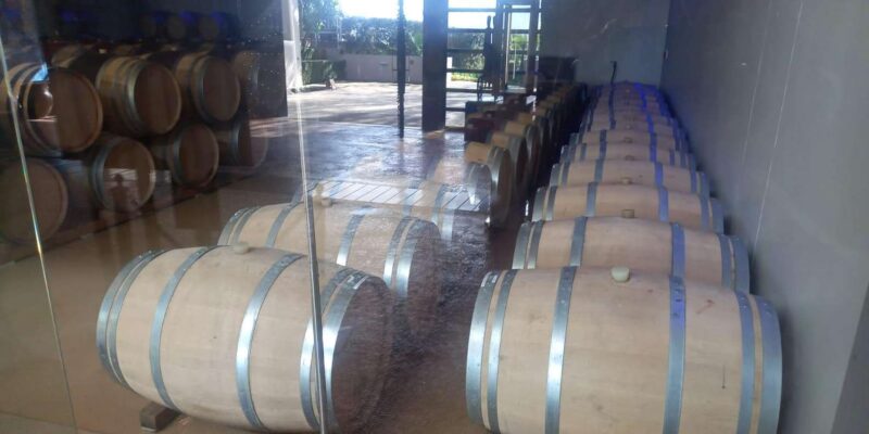 Stellenbosch, Franshoek, Paarl Region (20 Wine Tastings) - Highlights of the Trip