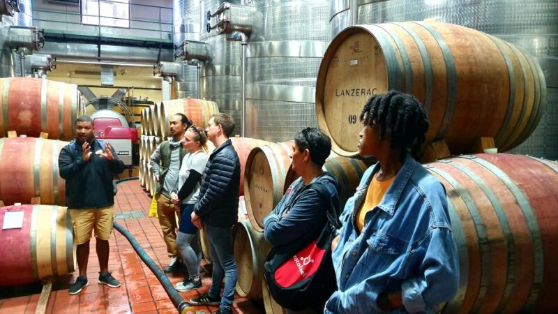 Stellenbosch: Historical Bike Tour & Wine Tasting - Highlights of the Tour
