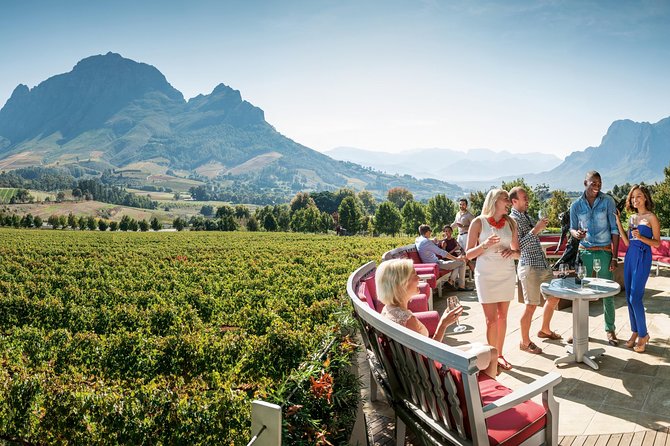 Stellenbosch, Paarl & Franschhoek Private Full Day Wine Tour - Wineries to Visit
