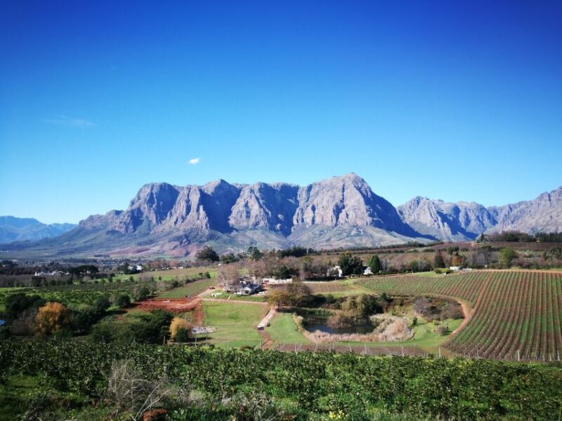 Stellenbosch: Stellenbosch Private E-Bike & Wine Tour - Tour Inclusions