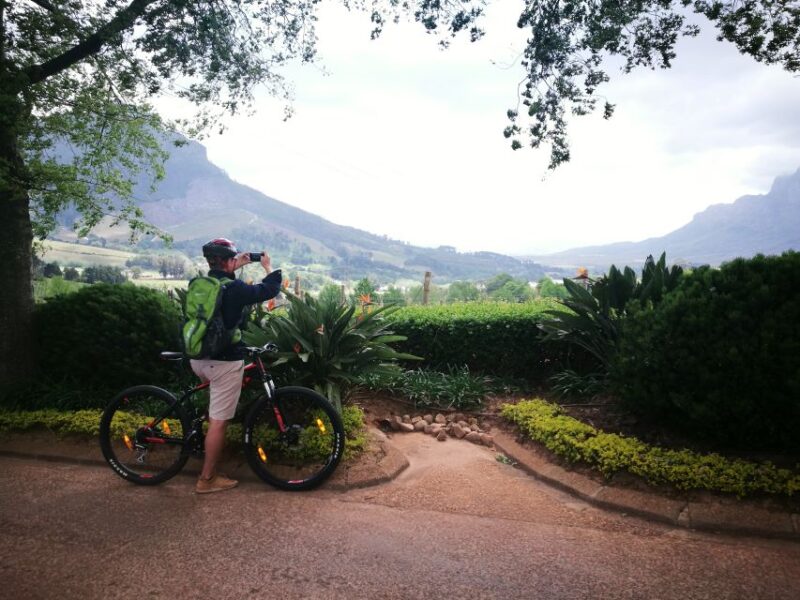 Stellenbosch: Stellenbosch Private E-Bike & Wine Tour - Customer Reviews