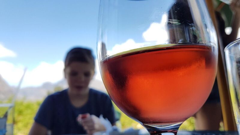 Stellenbosch Valley: Private Tour With Winemaker - Included and Excluded