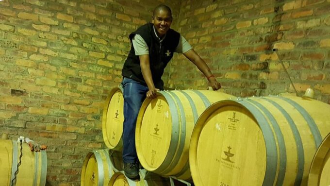 Stellenbosch Valley: Private Tour With Winemaker - Wine Tasting and Cellar Visit