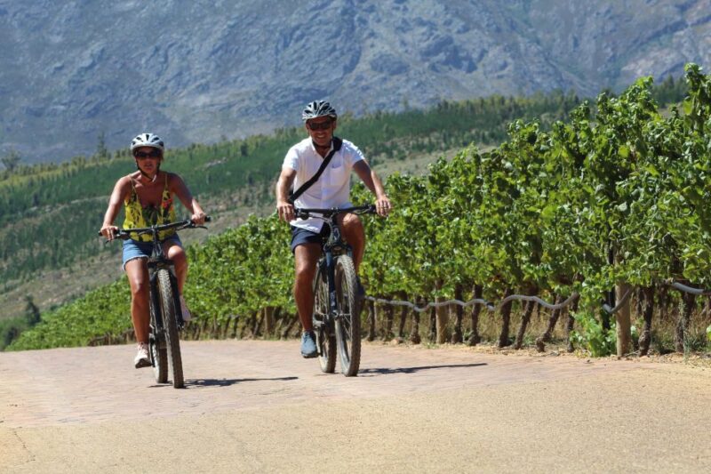Stellenbosch: Wine Farm E-Bike Guided Tour - E-Bike Features
