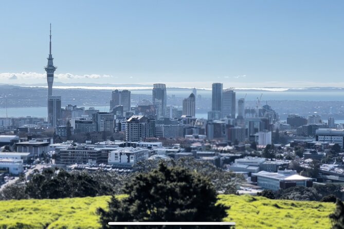 [Stevong Travel] Auckland Highlight Fullday City Tour - Benefits of Small Group Tours