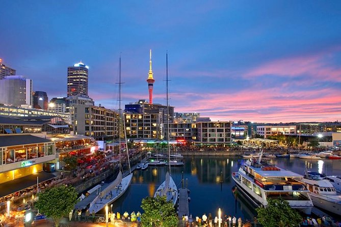 [Stevong Travel] Auckland Highlight Fullday City Tour - Pricing Information