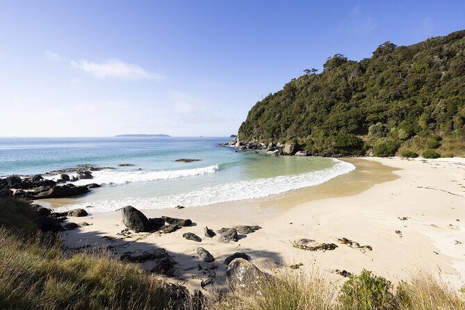 Stewart Island Guided Wilderness Walk - The Itinerary: A Detailed Look