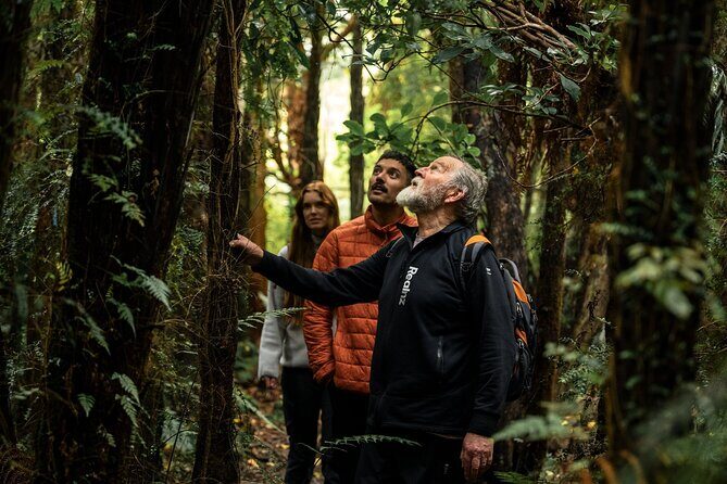 Stewart Island Guided Wilderness Walk - Practical Details and What to Expect