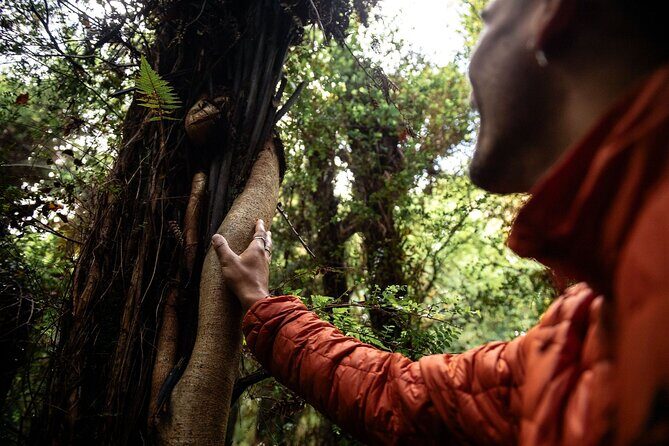 Stewart Island Guided Wilderness Walk - Authenticity and the Value of the Experience