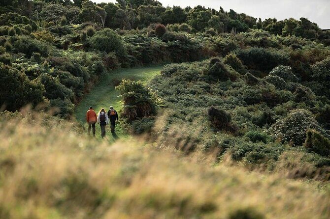 Stewart Island Guided Wilderness Walk - Concluding Thoughts