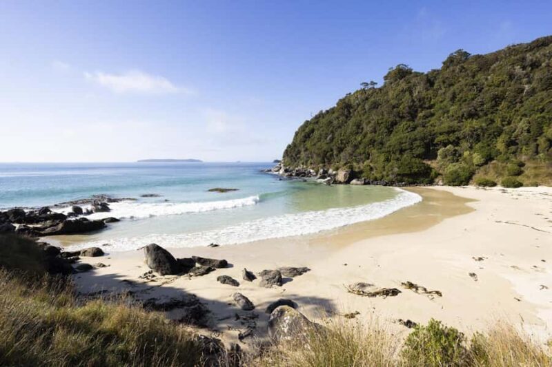 Stewart Island: Guided Wilderness Walk - Introduction: A Promising Journe