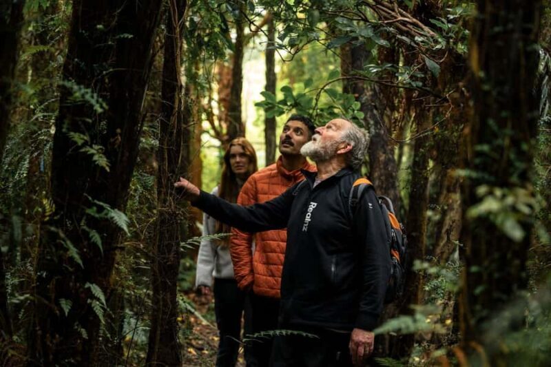 Stewart Island: Guided Wilderness Walk - Why This Tour Works for Travelers