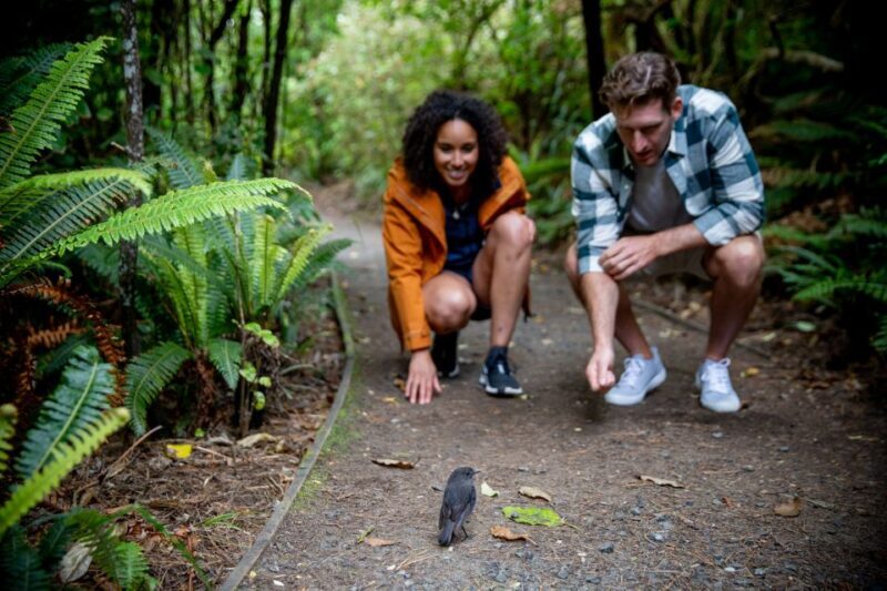 Stewart Island: Ulva Island Guided Wilderness Walk & Cruise - Exploring Stewart Island: Ulva Island Guided Wilderness Walk & Cruise