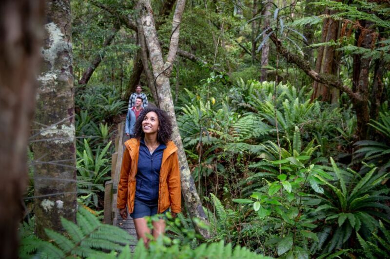 Stewart Island: Ulva Island Guided Wilderness Walk & Cruise - Is It Worth the Price?