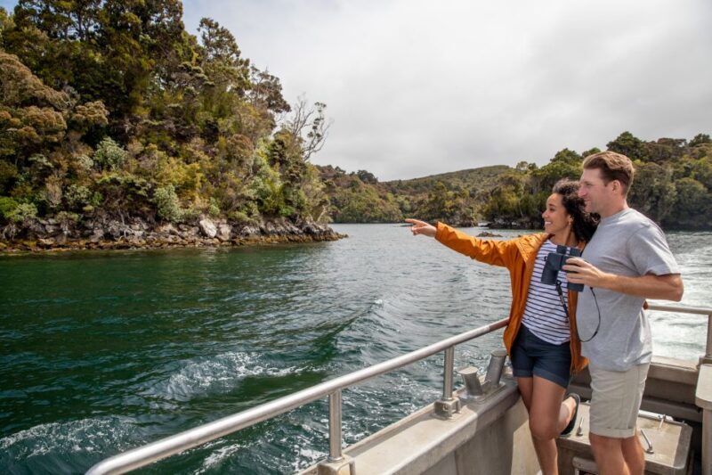 Stewart Island: Ulva Island Guided Wilderness Walk & Cruise - Reviews and Real Traveler Experiences