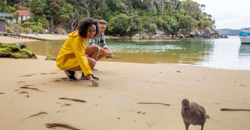 Stewart Island: Ulva Island Guided Wilderness Walk & Cruise - Who Should Consider This Tour?