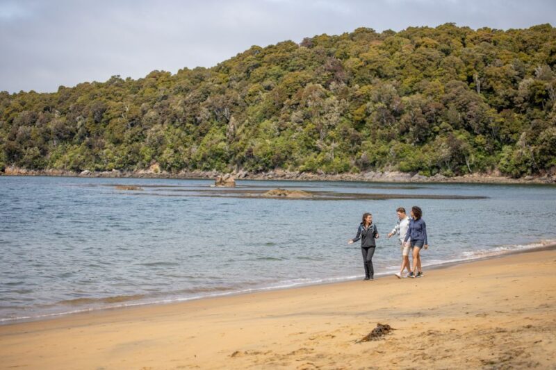 Stewart Island: Ulva Island Guided Wilderness Walk & Cruise - Frequently Asked Questions
