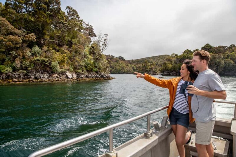 Stewart Island: Ulva Island Guided Wilderness Walk & Cruise - The Scenic Boat Ride: Views and Wildlife on the Water