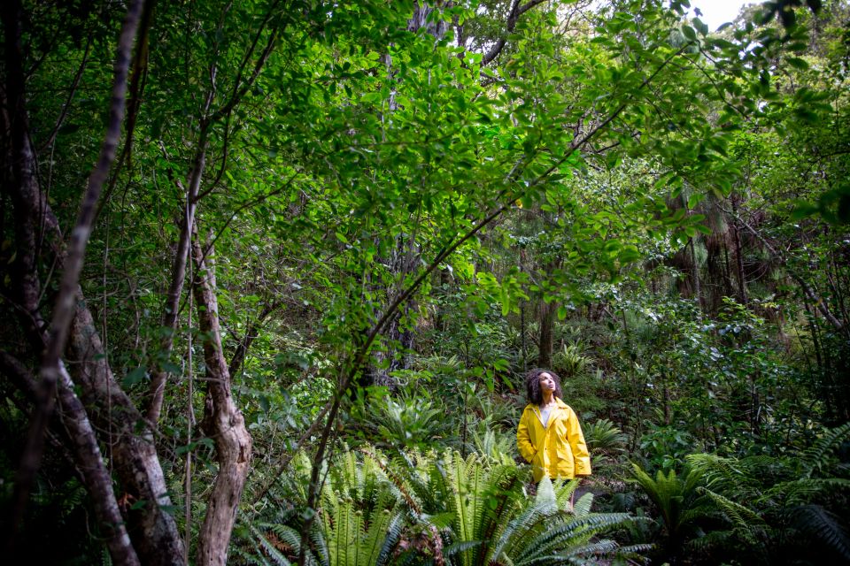 Stewart Island: Ulva Island Guided Wilderness Walk & Cruise - Experience