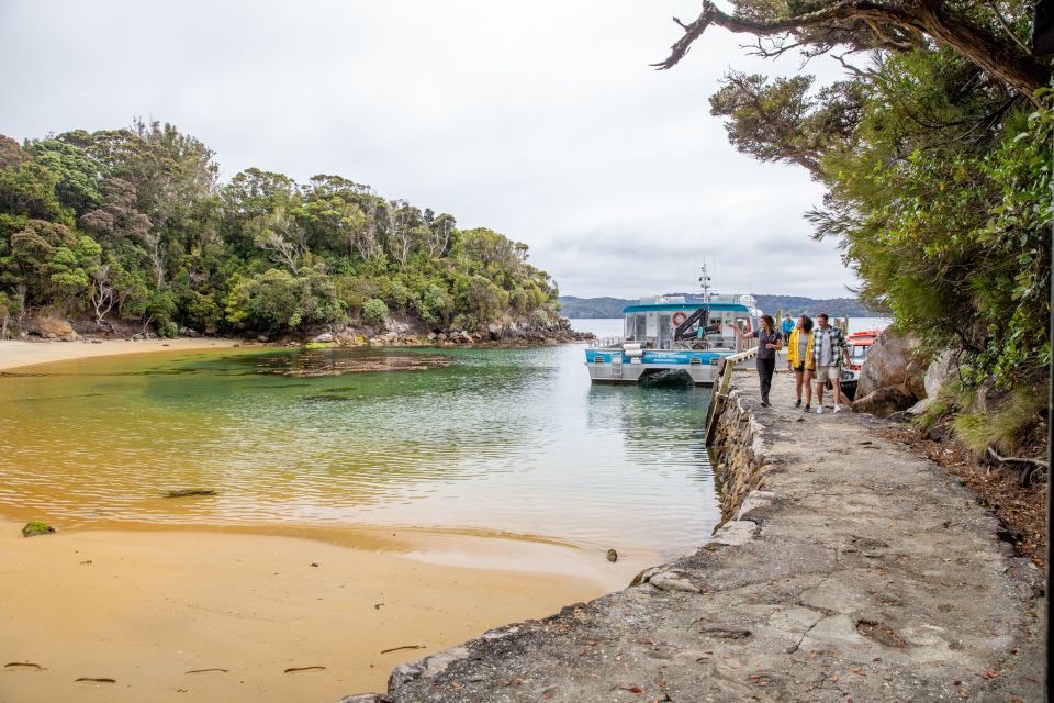 Stewart Island: Ulva Island Guided Wilderness Walk & Cruise - Customer Reviews