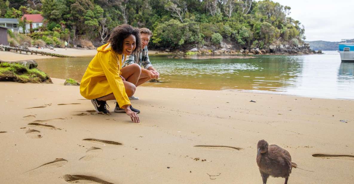 Stewart Island: Ulva Island Guided Wilderness Walk & Cruise - Price and Duration