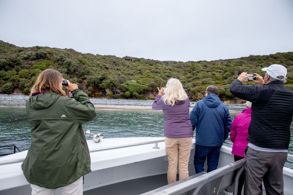 Stewart Island: Wild Kiwi Encounter - Key Points