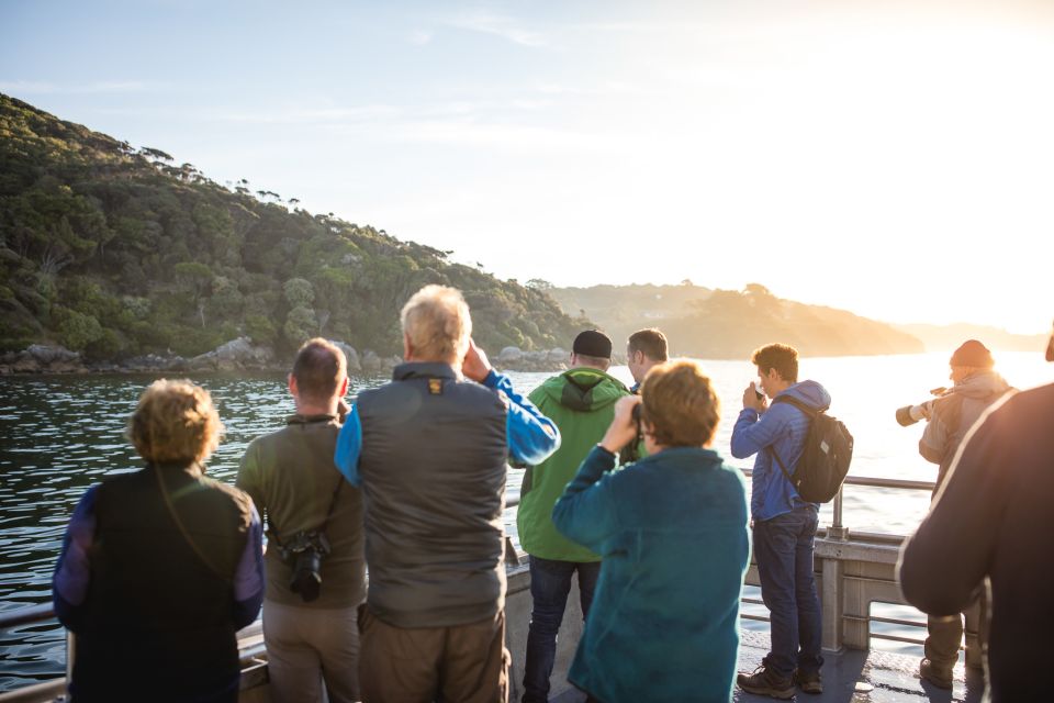 Stewart Island: Wild Kiwi Encounter - Experience Highlights