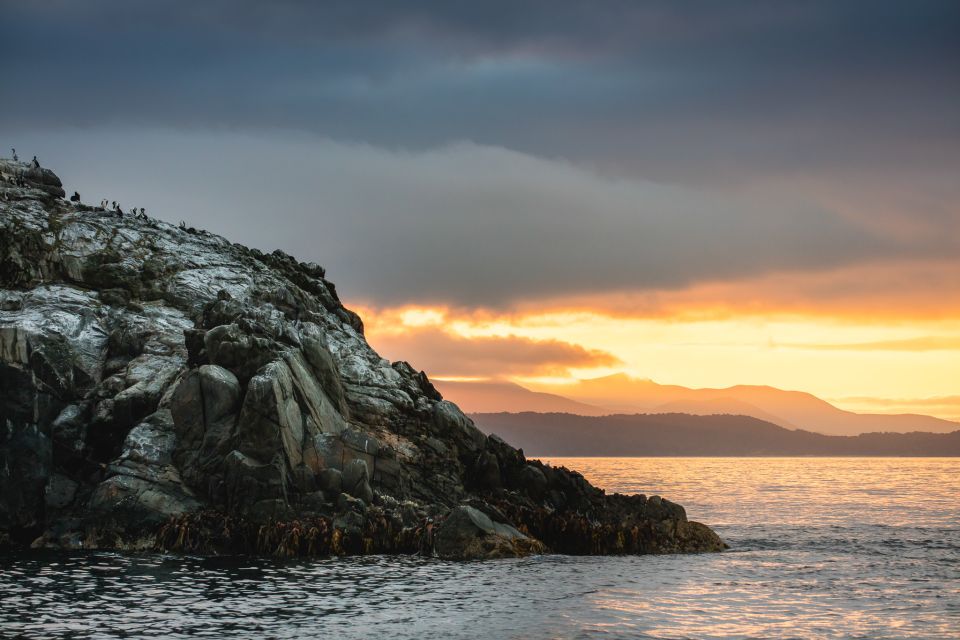 Stewart Island: Wild Kiwi Encounter - Kiwi Encounter Experience