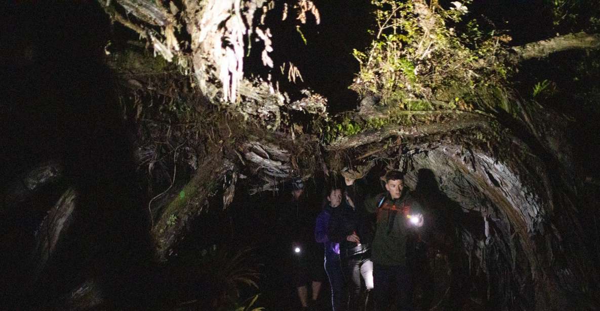 Stewart Island: Wild Kiwi Encounter - Customer Reviews