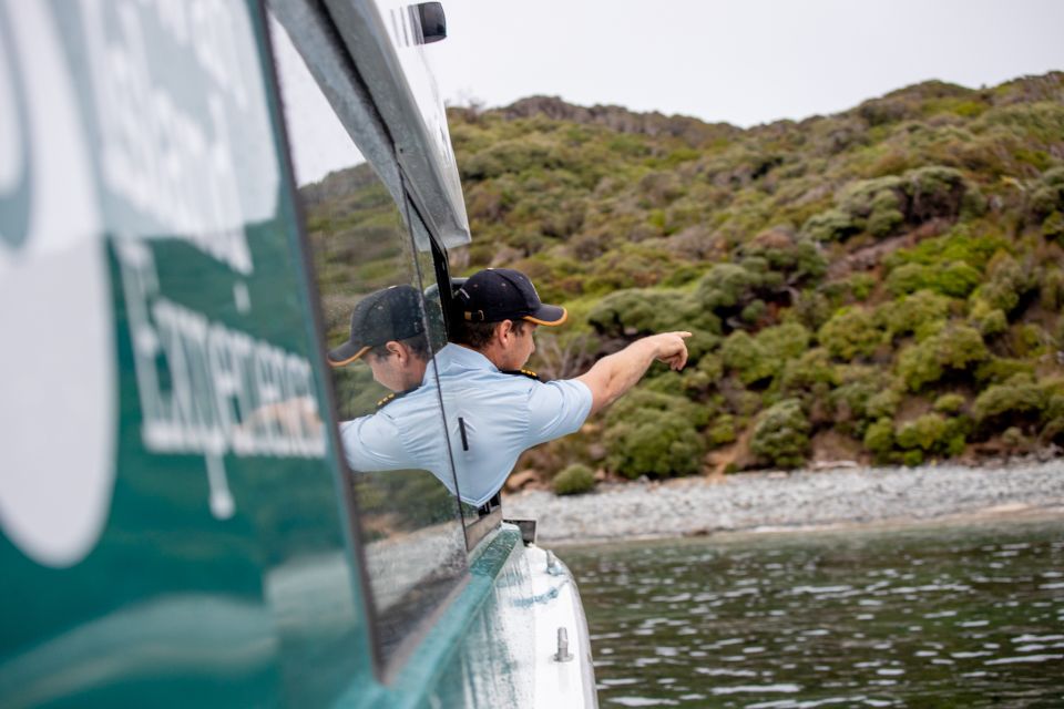 Stewart Island: Wild Kiwi Encounter - Conservation Contribution