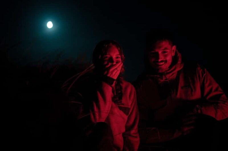 Stewart Island: Wild Kiwi Experiences - Key Points