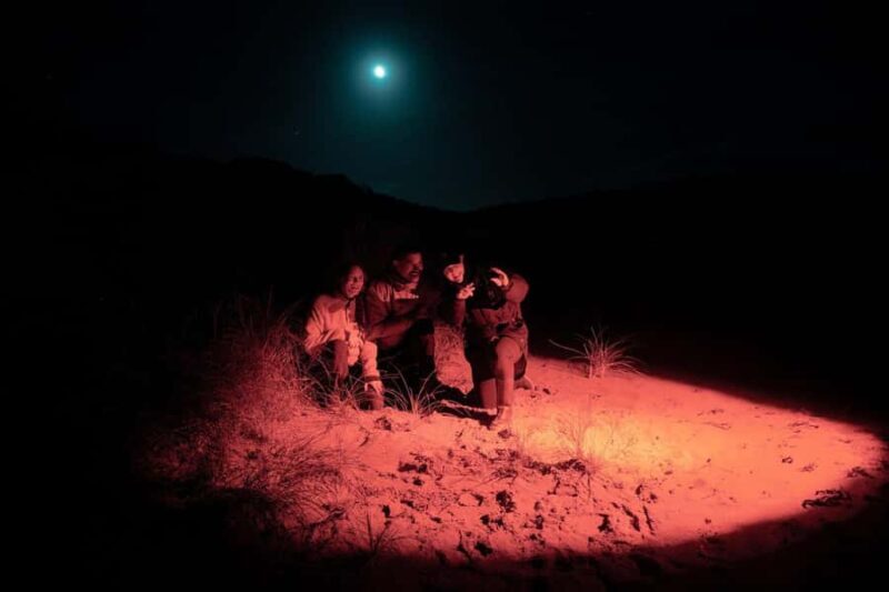 Stewart Island: Wild Kiwi Experiences - Practical Details & What to Expect