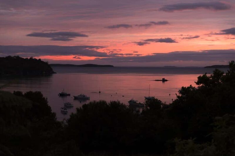 Stewart Island: Wild Kiwi Experiences - FAQ